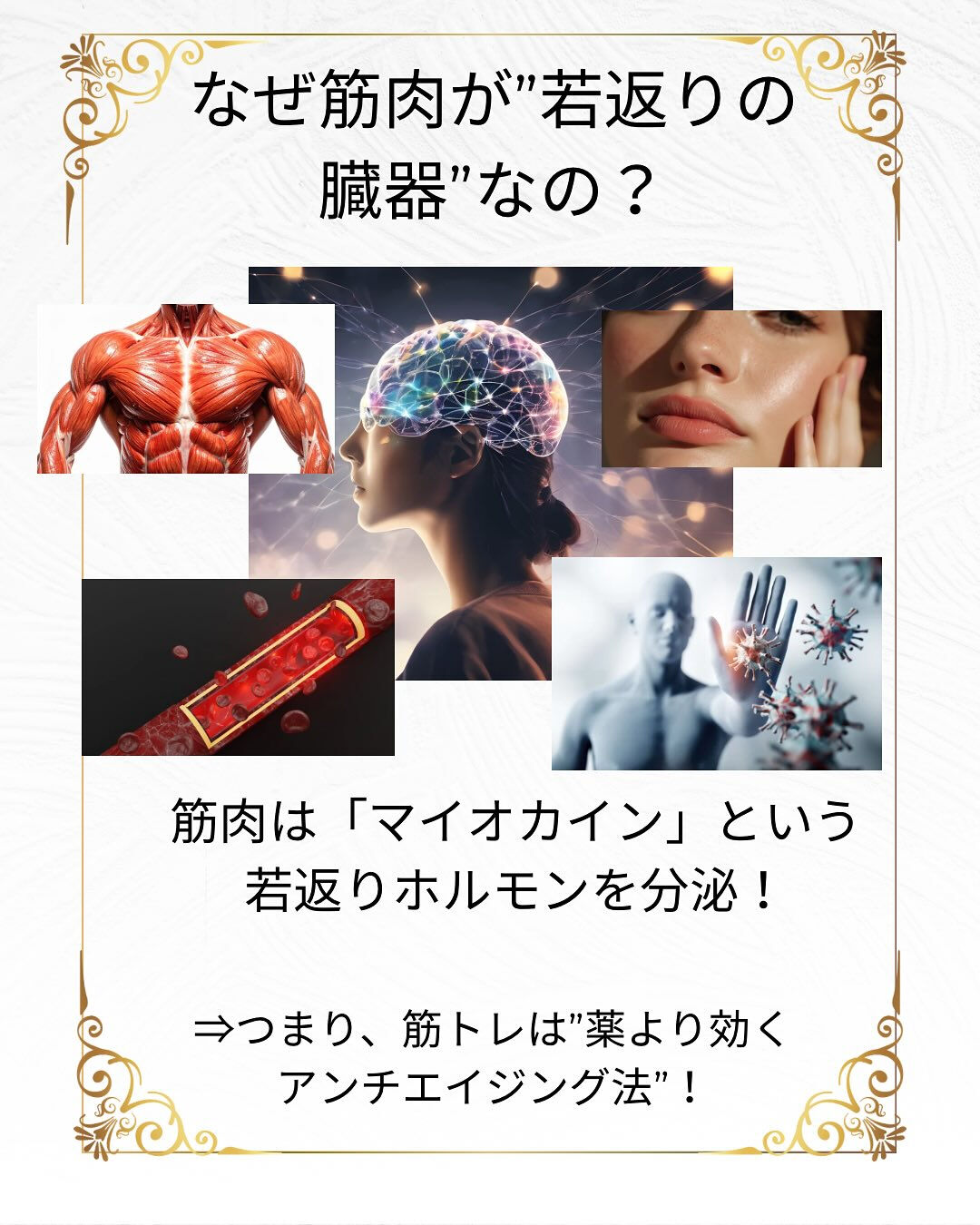 .💪 筋肉は、あなたの“最強のアンチエイジング臓器”