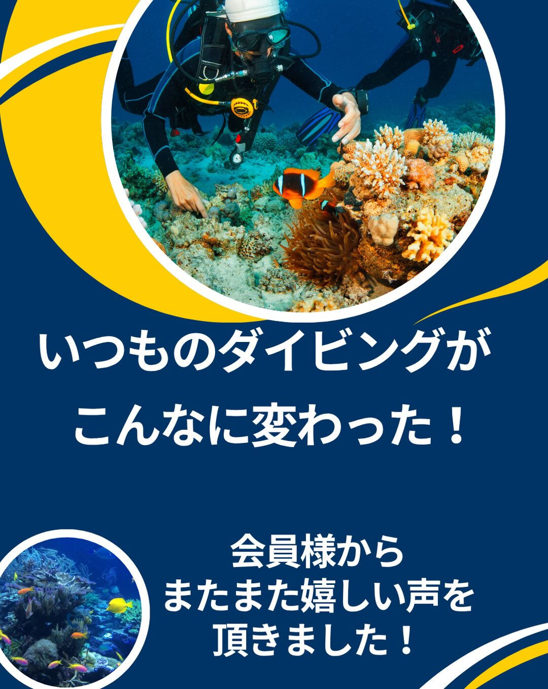 「今回のダイビング、全然違ったんです！」