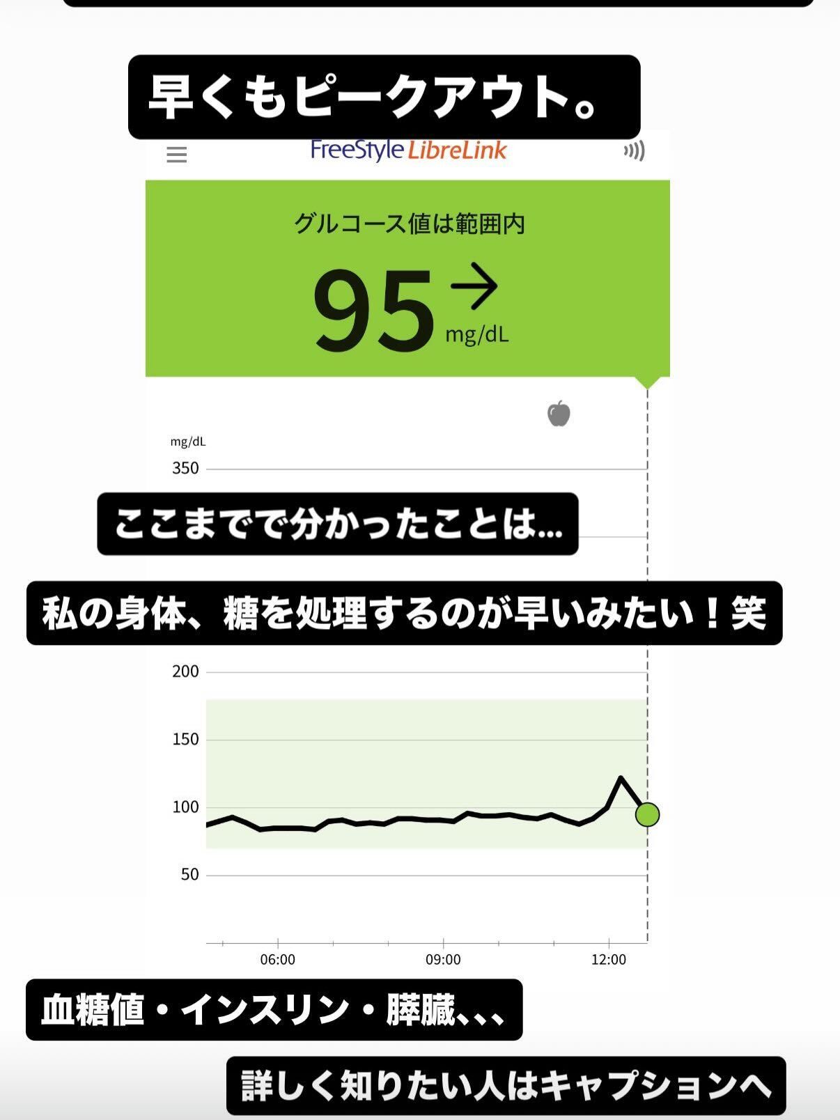 🍚食べた糖質はどうなる？
